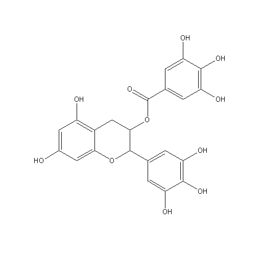 茶多酚  84650-60-2