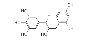 表没食子儿茶素  970-74-1 