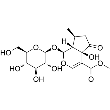 戟叶马鞭草苷 50816-24-5