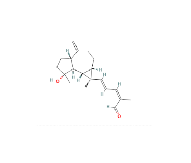 hemerocallal a