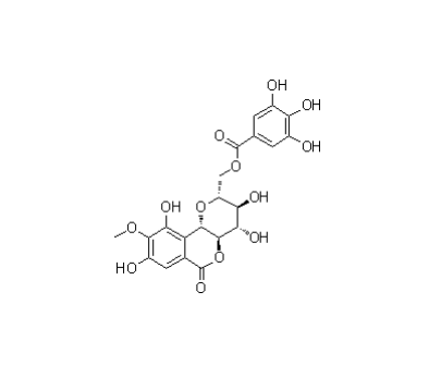 11-o-没食子酰岩白菜素|82958-44-9