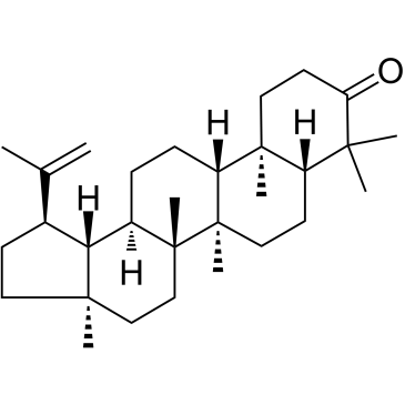  羽扇豆烯酮 1617-70-5