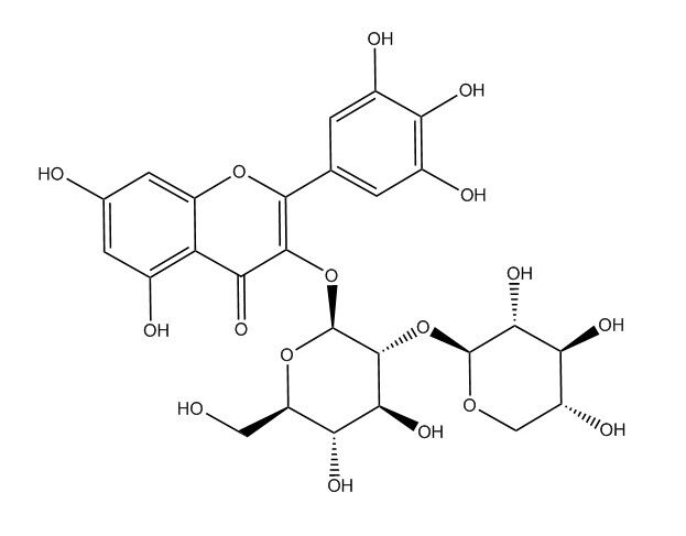 杨梅素-3-o-β-d-木糖（1-2）-β-d-葡萄糖苷_142449-93-2