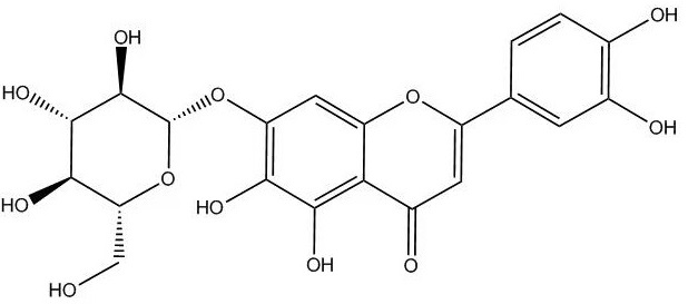 6-羟基木犀草苷_54300-65-1