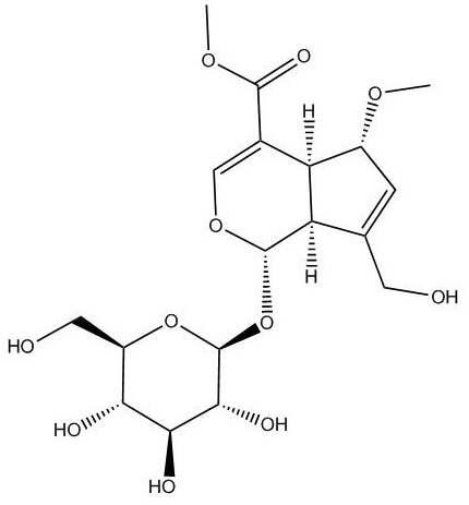 6-o甲氧基鸡矢藤苷甲酯.jpg