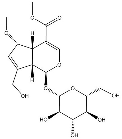 6-o-jot-12379甲氧基去乙酰车叶草苷酸甲酯135383-98-1.jpg