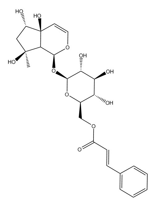 jot-12386 6'-o-肉桂酰基哈巴苷1245572-24-0.jpg