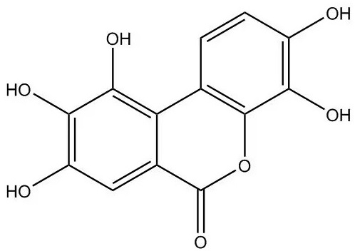 尿石素m5_91485-02-8