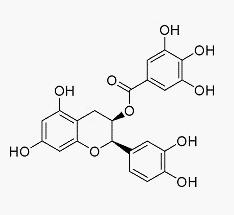 表儿茶素没食子酸酯_cas:1257-08-5