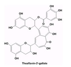 茶黄素-3'-没食子酸酯_cas:28543-07-9