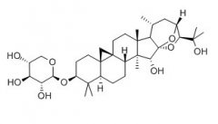 升麻醇-3-o-β-d-吡喃木糖苷_27994-11-2